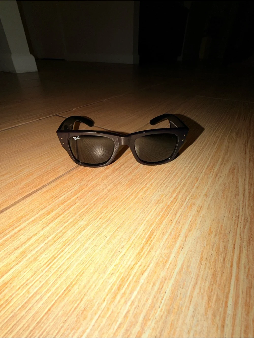 Ray-Ban Men's Brown Frame Black Lens Sunglasses